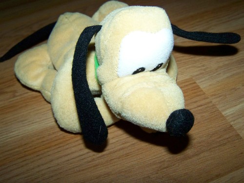 Disney store pluto - store, cucciolo